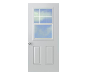 Doors with panel 32